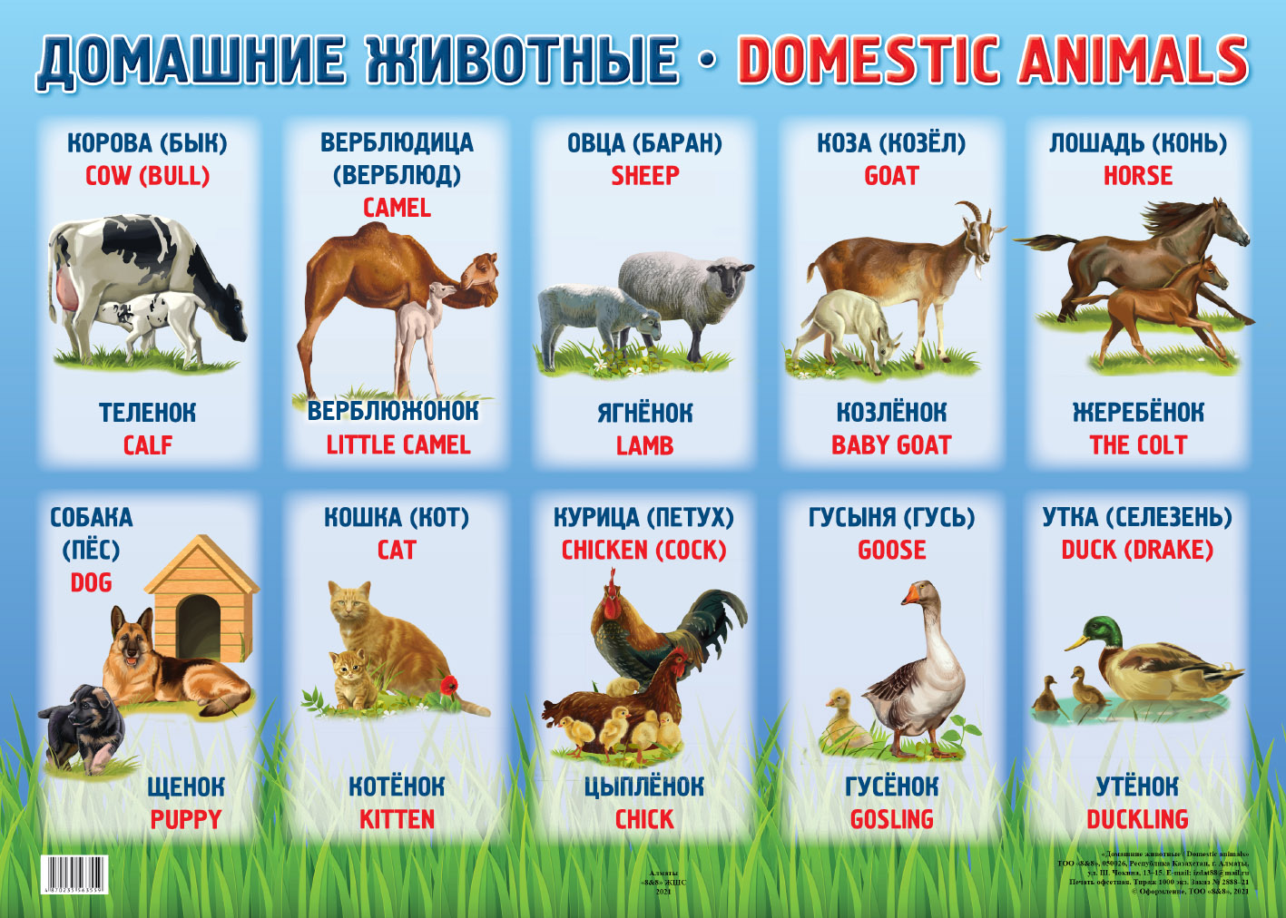 Домашние животные / Domestic animals купить