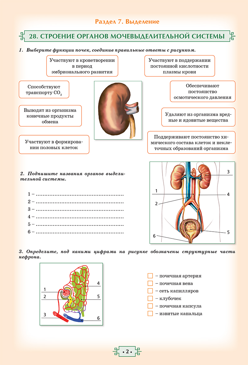 Биология. Рабочая тетрадь. 8 класс. Купить